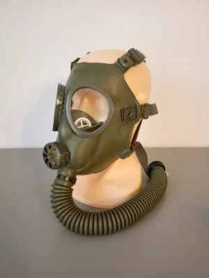 Type 1