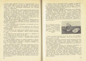 Saturn - widok 2